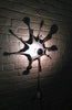 Sconce Shadow Light